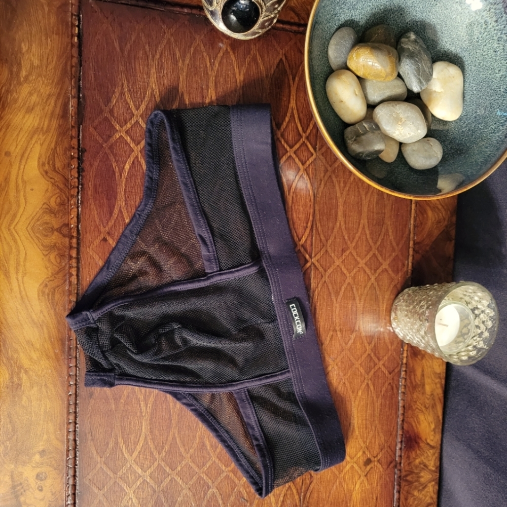 COCKCON MENS BIKINI MESH UNDERWEAR